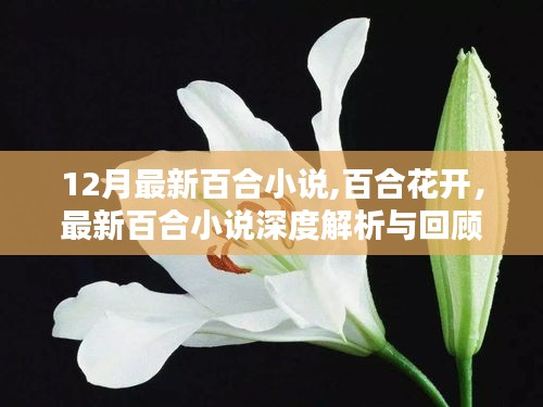 最新百合小說深度解析與回顧，百合花開，12月精彩回顧