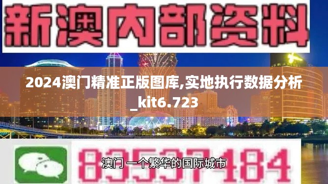 2024澳門精準正版圖庫,實地執(zhí)行數(shù)據(jù)分析_kit6.723