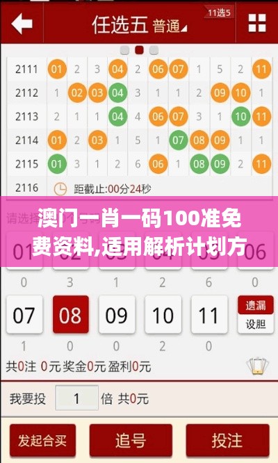澳門一肖一碼100準免費資料,適用解析計劃方案_L版10.760