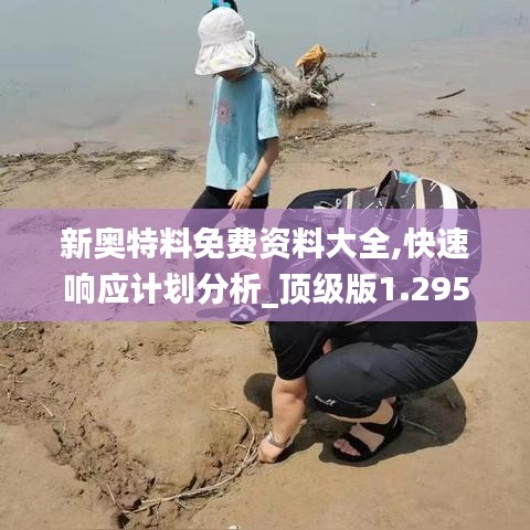 新奧特料免費資料大全,快速響應計劃分析_頂級版1.295