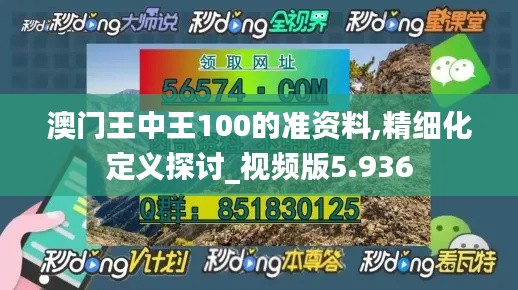 澳門王中王100的準資料,精細化定義探討_視頻版5.936
