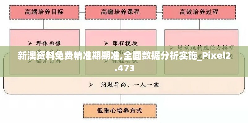 新澳資料免費(fèi)精準(zhǔn)期期準(zhǔn),全面數(shù)據(jù)分析實(shí)施_Pixel2.473