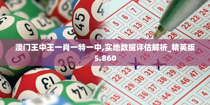 澳門王中王一肖一特一中,實地數據評估解析_精英版5.860