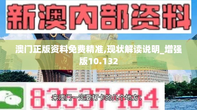 澳門正版資料免費精準,現狀解讀說明_增強版10.132