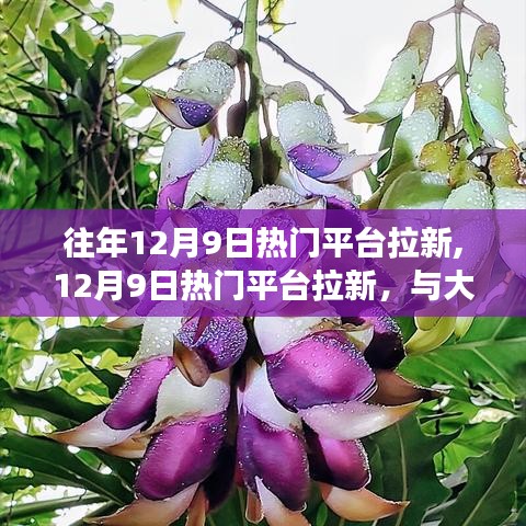 12月9日熱門平臺(tái)拉新日，與自然共舞，心靈旅行的啟航時(shí)刻