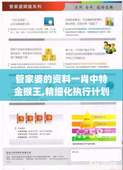 精細化執行計劃