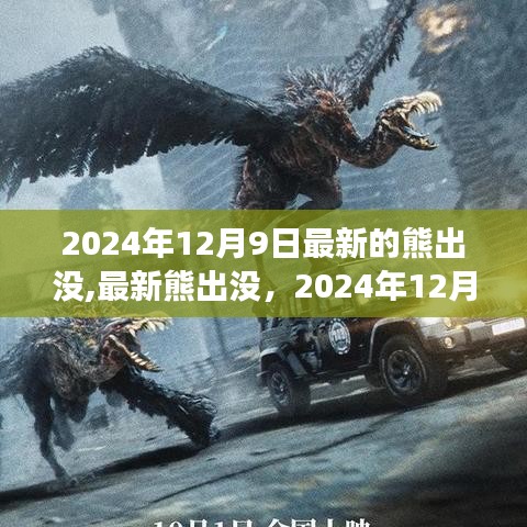 深度解析，最新熊出沒探險之旅 2024年12月9日獨家揭秘