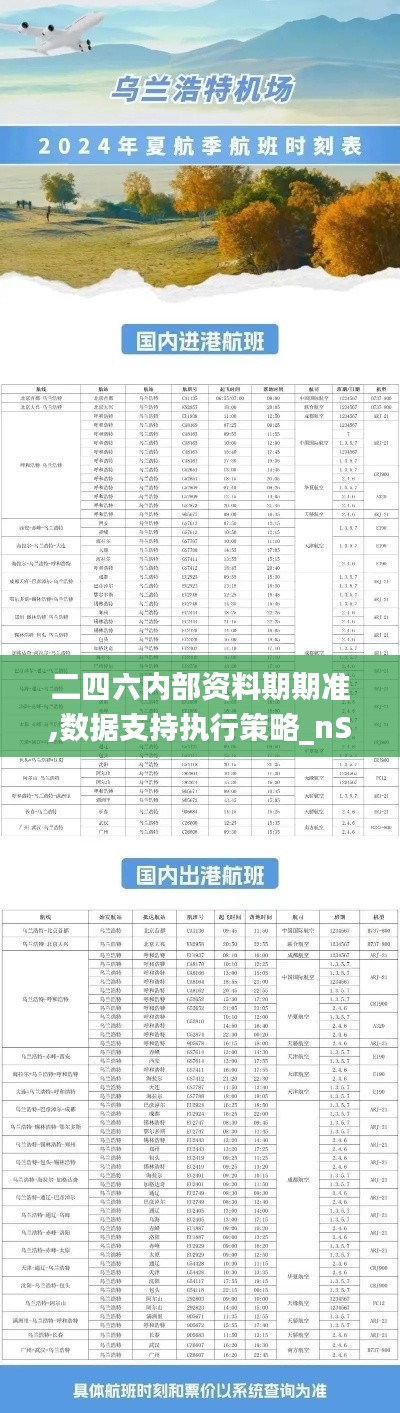 二四六內部資料期期準,數(shù)據(jù)支持執(zhí)行策略_nShop8.174