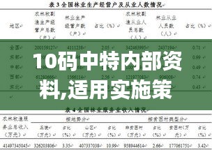 10碼中特內(nèi)部資料,適用實施策略_增強版4.671