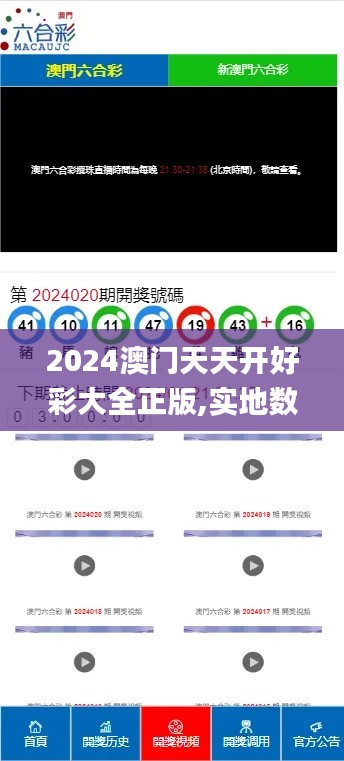 2024澳門天天開好彩大全正版,實地數據驗證分析_安卓版2.430
