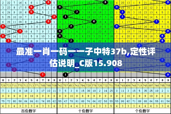 最準(zhǔn)一肖一碼一一子中特37b,定性評(píng)估說明_C版15.908