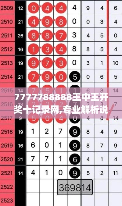 7777788888王中王開獎十記錄網,專業解析說明_pack1.163