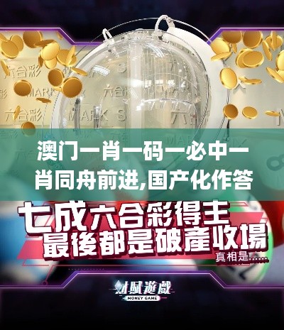 澳門一肖一碼一必中一肖同舟前進,國產化作答解釋定義_kit5.336