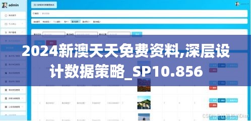 2024新澳天天免費資料,深層設計數據策略_SP10.856