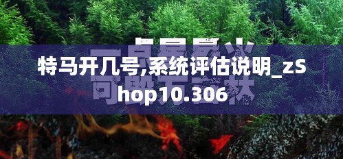 特馬開幾號,系統評估說明_zShop10.306