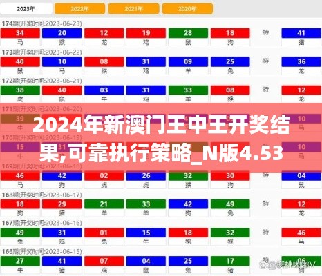 2024年新澳門王中王開獎結(jié)果,可靠執(zhí)行策略_N版4.534
