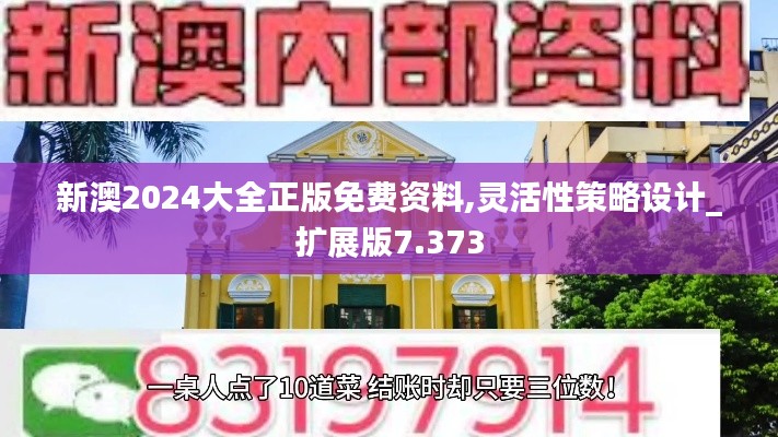 新澳2024大全正版免費(fèi)資料,靈活性策略設(shè)計(jì)_擴(kuò)展版7.373