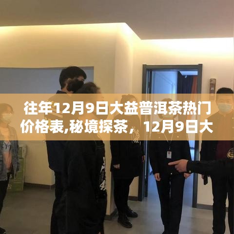 秘境探茶之旅，揭秘大益普洱茶熱門價格表與小巷茶韻傳奇