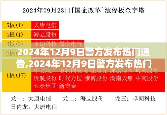社會(huì)治安新形勢(shì)下的多元治理策略探析，警方發(fā)布熱門通告解析與行動(dòng)指南（2024年12月9日）