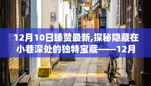 探秘小巷深處的獨特寶藏，12月10日臻贊最新特色小店揭秘
