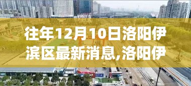 洛陽(yáng)伊濱區(qū)隱秘小巷探秘，味覺(jué)奇跡之旅揭曉最新消息（獨(dú)家標(biāo)題）