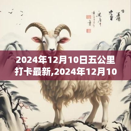 堅持的力量與生活的美好交織，2024年12月10日五公里打卡新篇章開啟