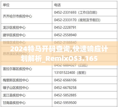 2024特馬開碼查詢,快速響應計劃解析_RemixOS3.165