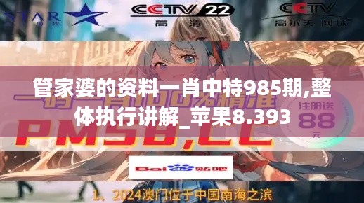 管家婆的資料