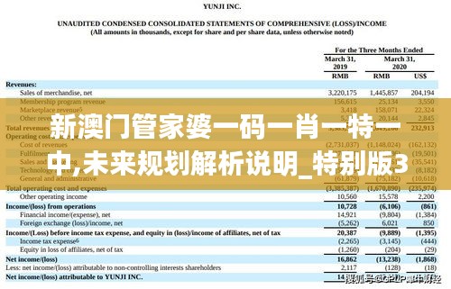 新澳門管家婆一碼一肖一特一中,未來規劃解析說明_特別版3.749