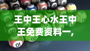 王中王心水王中王免費(fèi)資料一,定性解析說明_專屬款18.113