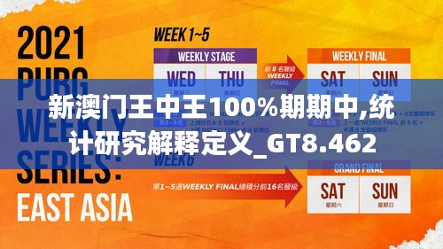 新澳門王中王100%期期中,統計研究解釋定義_GT8.462