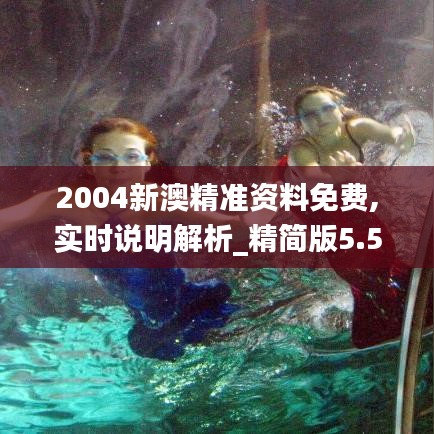 2004新澳精準資料免費,實時說明解析_精簡版5.540