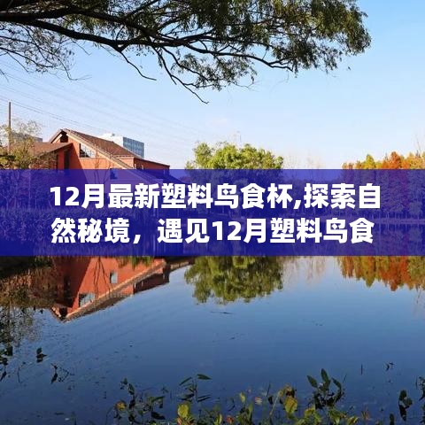 探索自然秘境，遇見奇妙的塑料鳥食杯之旅，尋找內心的寧靜與平和