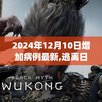 病例增加背后的啟示，逃離喧囂，探索自然美景的旅行啟示錄（最新更新至2024年12月10日）