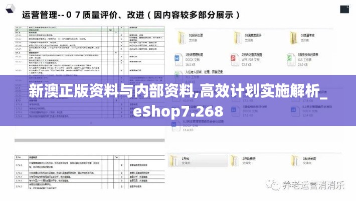 新澳正版資料與內(nèi)部資料,高效計(jì)劃實(shí)施解析_eShop7.268