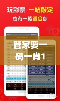 管家婆一碼一肖100準,調整計劃執行細節_DX版110.379