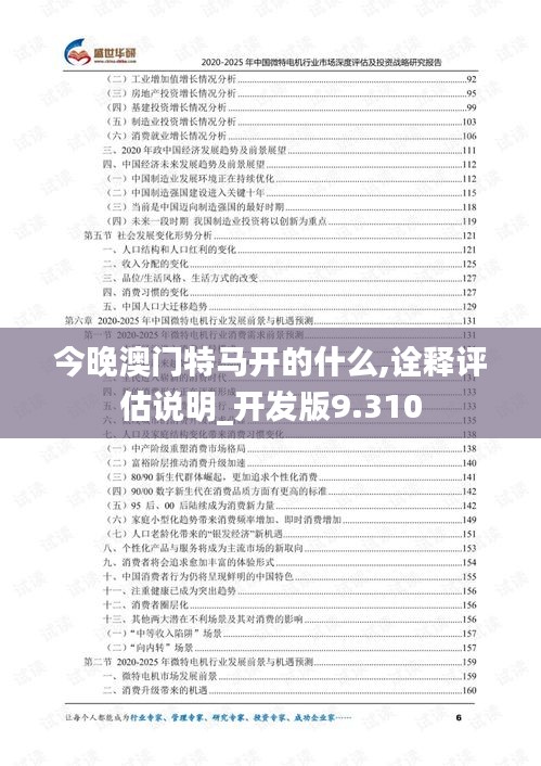 今晚澳門特馬開的什么,詮釋評估說明_開發版9.310