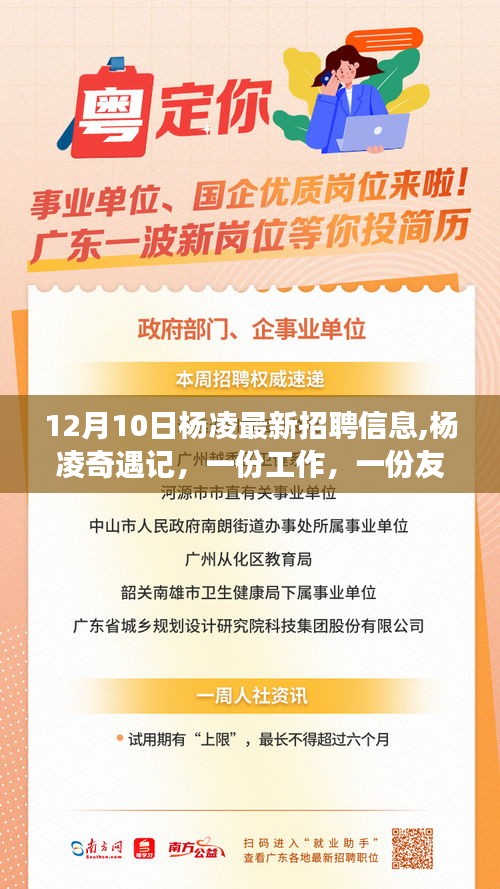 楊凌奇遇記，最新招聘與友情交織的溫馨故事