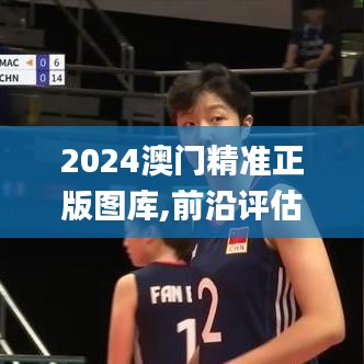 2024澳門精準正版圖庫,前沿評估說明_網紅版8.791