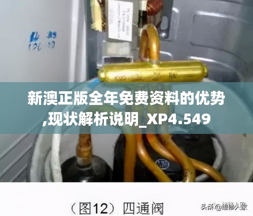 新澳正版全年免費資料的優(yōu)勢,現(xiàn)狀解析說明_XP4.549