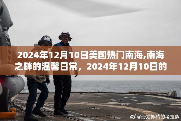 南海之畔的溫馨日常與奇遇，美國熱門南海的2024年12月10日
