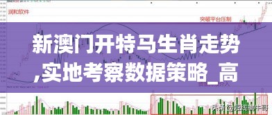 違法犯罪問題 第13頁