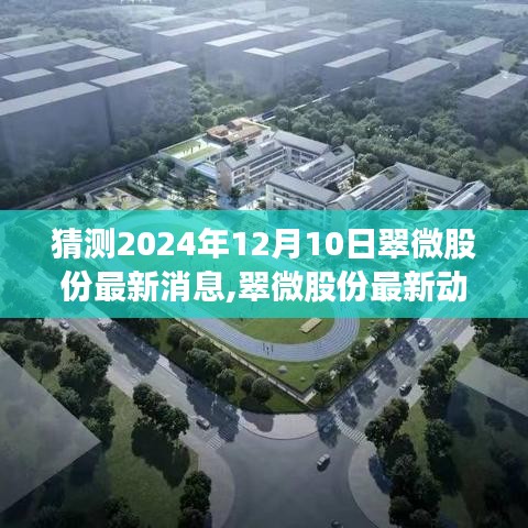 翠微股份未來展望深度評測，最新動態猜想與深度評測，展望至2024年12月10日