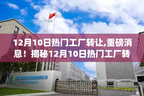 揭秘，12月10日工廠轉(zhuǎn)讓背后的三大要點(diǎn)及重磅消息曝光！