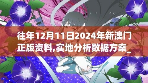 往年12月11日2024年新澳門正版資料,實(shí)地分析數(shù)據(jù)方案_桌面版3.712