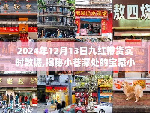 揭秘寶藏小店背后的故事，九紅帶貨實時數據解析與消費盛宴體驗