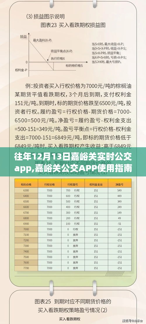 嘉峪關公交APP使用指南，歷年12月13日數據詳解，適合初學者與進階用戶