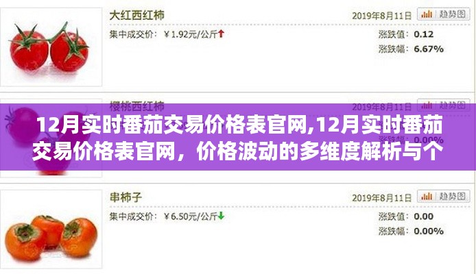12月實時番茄交易價格表官網全面解析，多維度分析價格波動與個人立場探討