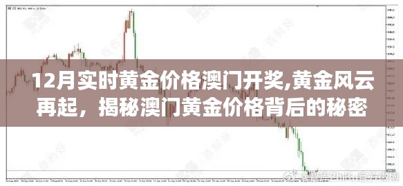 揭秘黃金風(fēng)云背后的秘密，澳門黃金價(jià)格的犯罪真相與犯罪問題探討