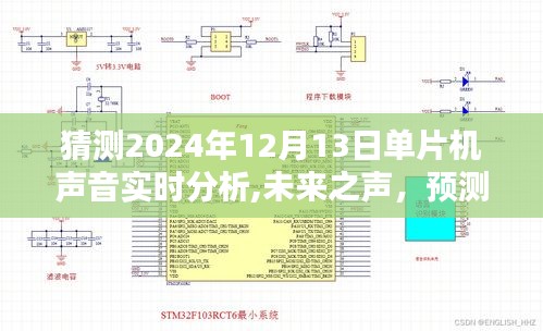 2024年單片機聲音實時分析技術(shù)革新與前景展望